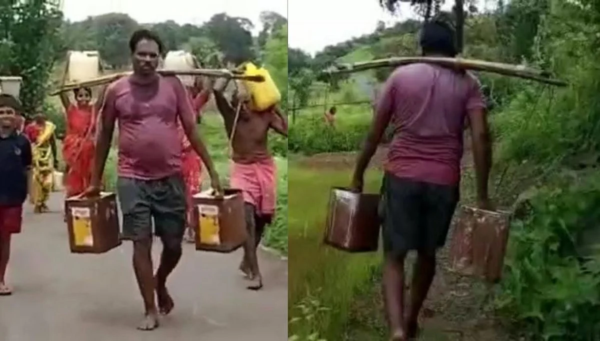 पावसाने दडी मारल्याने शेतकरी कावडीने पाणी आणुन जगवतोय भातपिक!