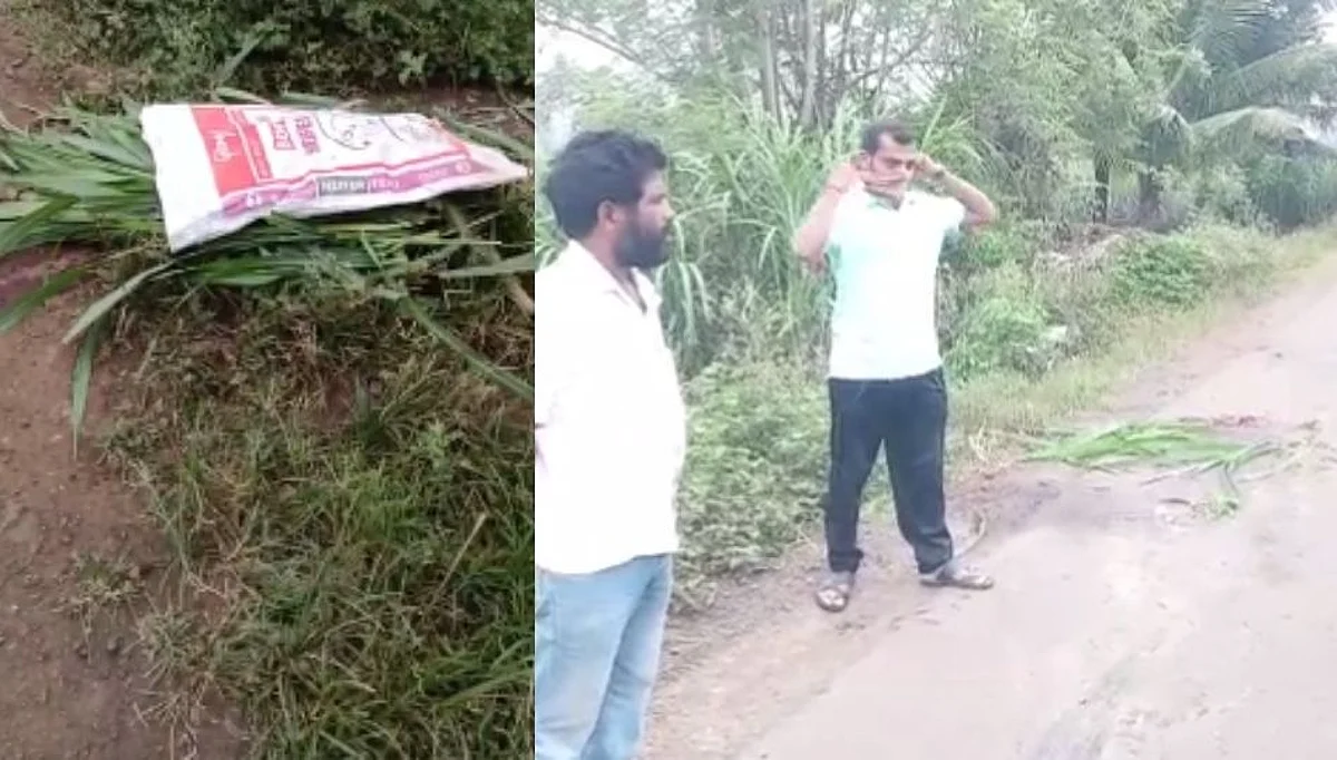 मिरजेत अज्ञात वाहनाने ठाकरल्याने हरीण जागीच ठार...