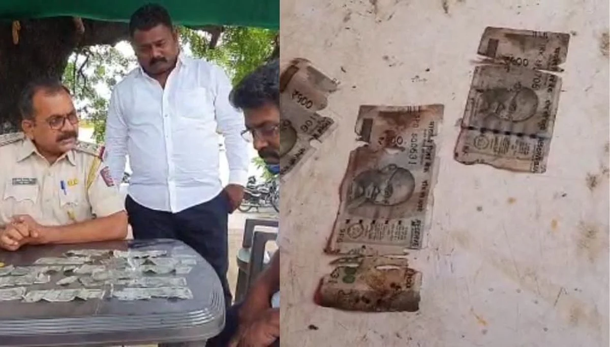 बाब्बो! नाल्यात वाहू लागल्या 500 रुपयाच्या नोटा; लोकं झाली मालामाल