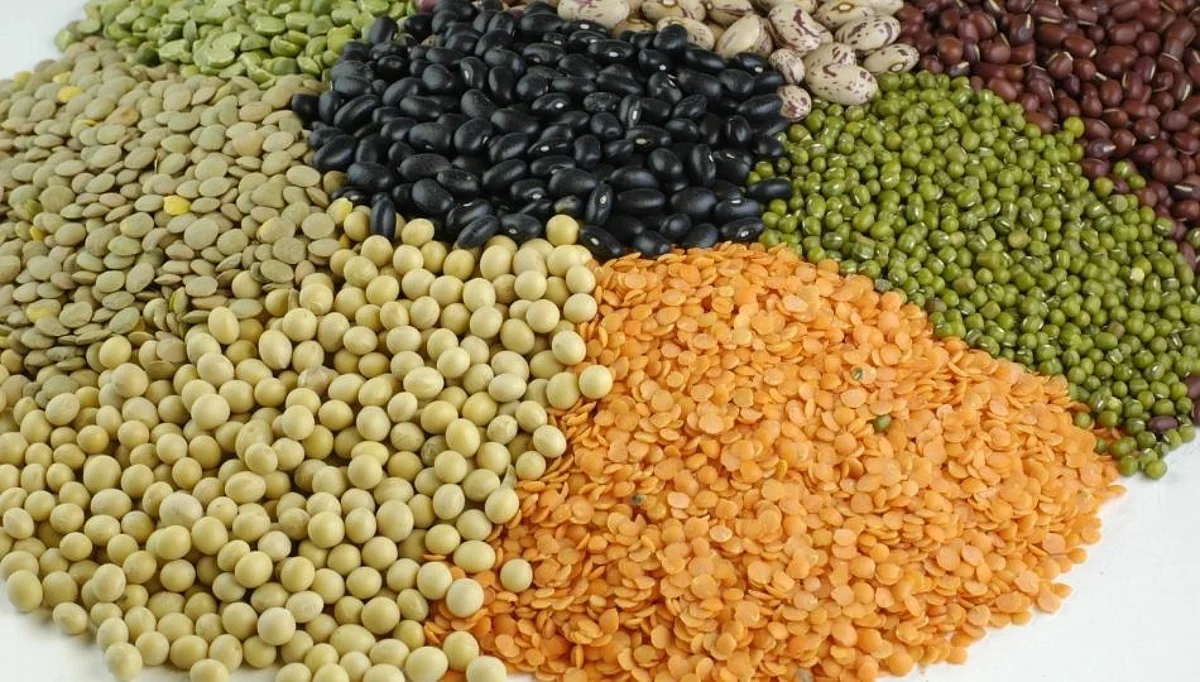 डाळ साठवणूकीबाबत केंद्राच्या कायद्या विरोधात व्यापाऱ्यांचा संताप