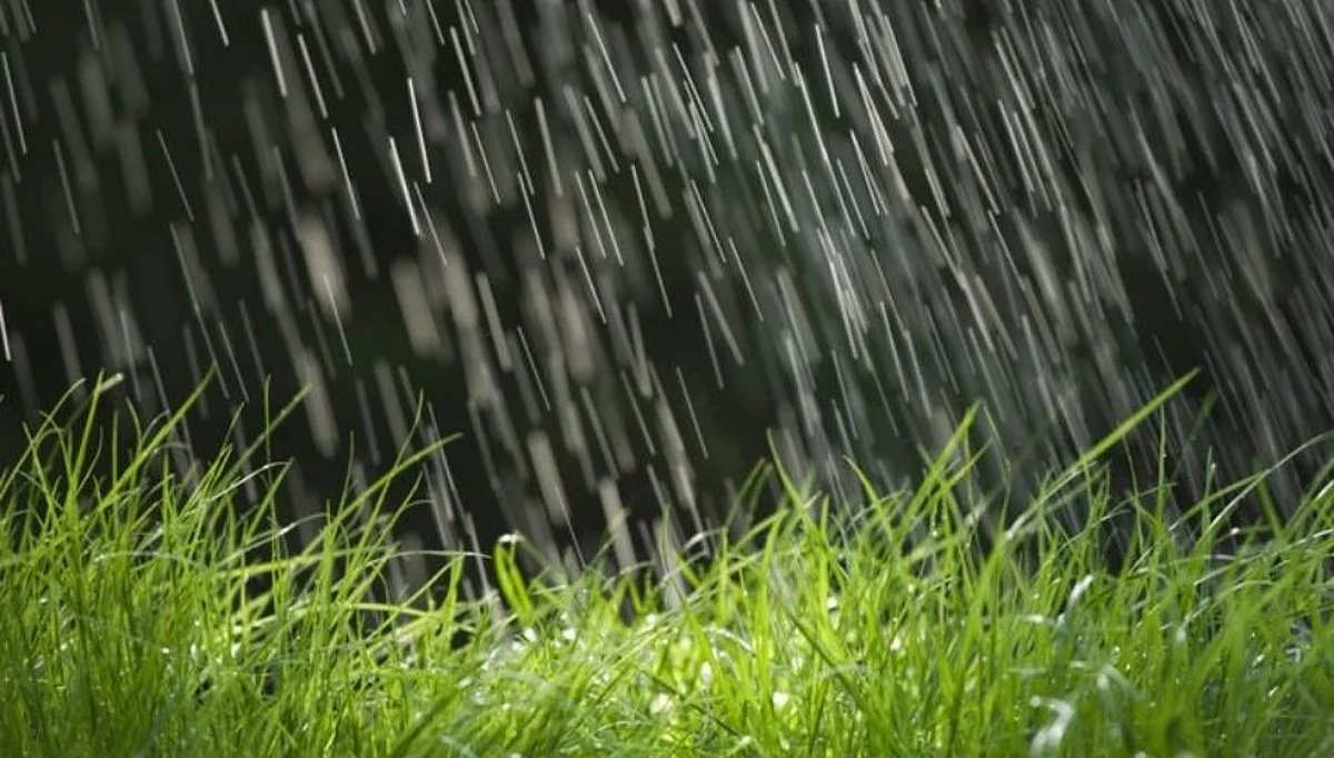 Rain