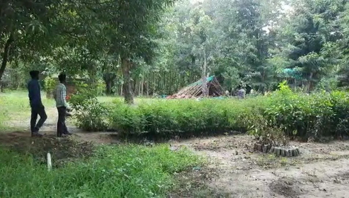 देऊळगावत रोपवाटिका मजूरांचा सात महिन्याचा पगार थकला