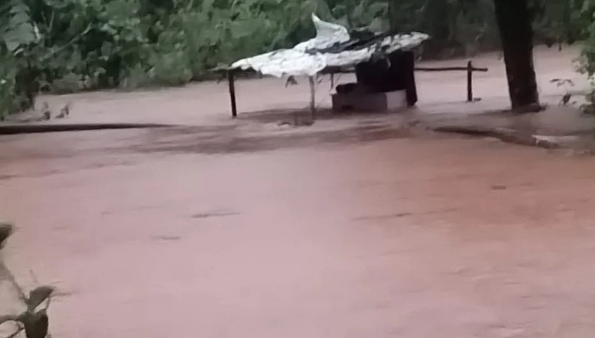 मुसळधार पावसाचा तडाखा; शेतकऱ्यांच्या शेतात घुसले पाणी