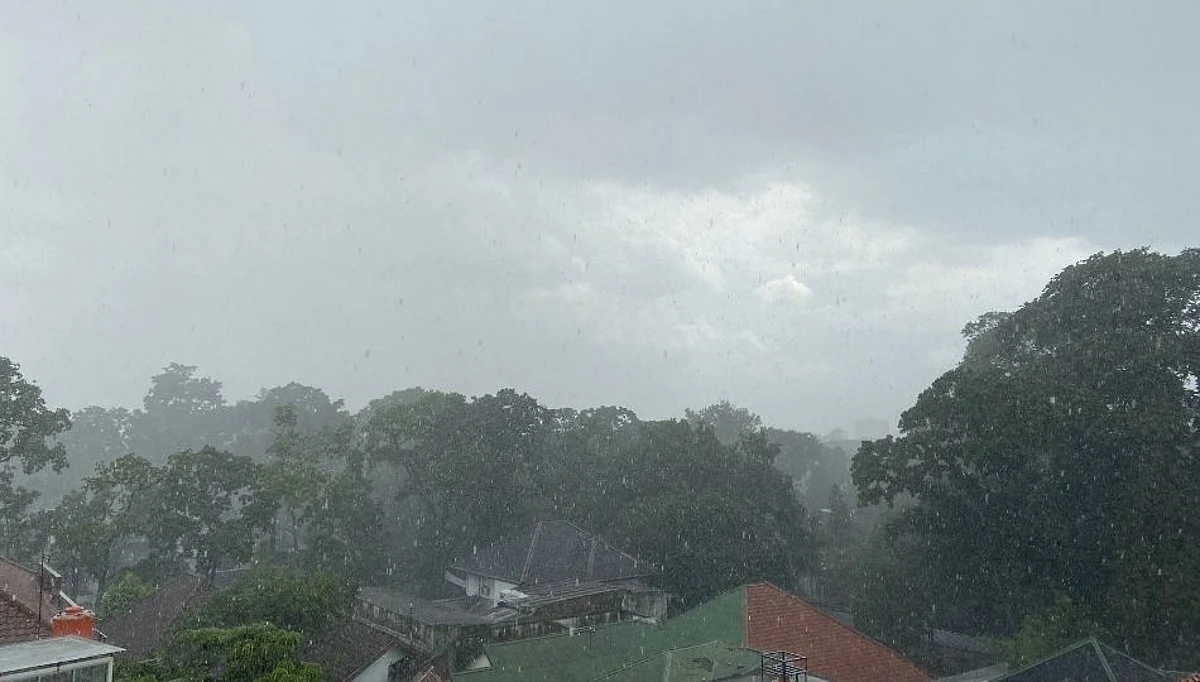 महाराष्ट्रात मुसळधार पाऊस सुरूच