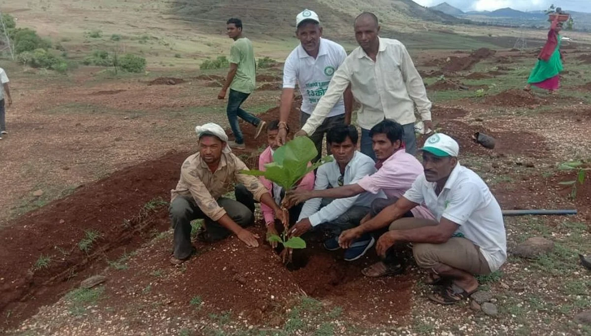 मोठ्या प्रतिक्षेच्या पावसानंतर सामाजिक संघटनांतर्फे वृक्षारोपण सुरु