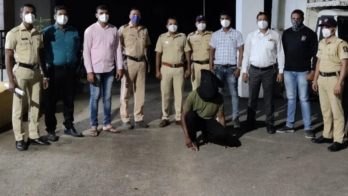 बैलाच्या हत्येप्रकरणी वाई तालुक्यातील युवक ताब्यात; चाैकशी सुरु