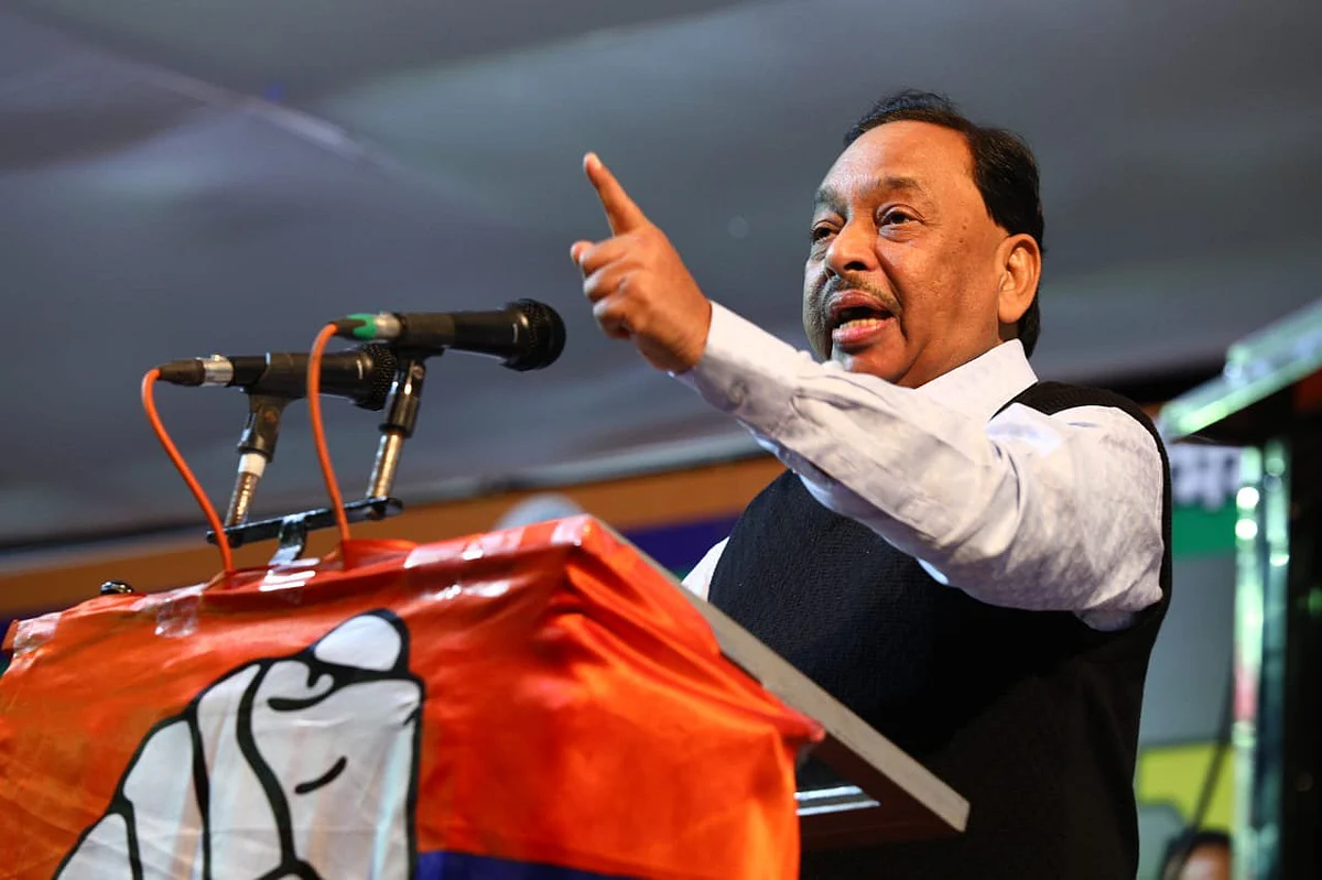 "...तर मला 13 आमदार निवडुन द्या" - नारायण राणे
