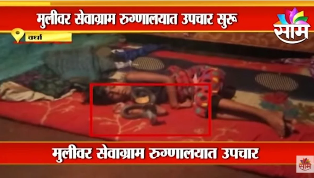 Breaking |झोपलेल्या चिमुकलीच्या गळ्याला नागाने वेटोळा घातलेला हा VIDEO पहाच