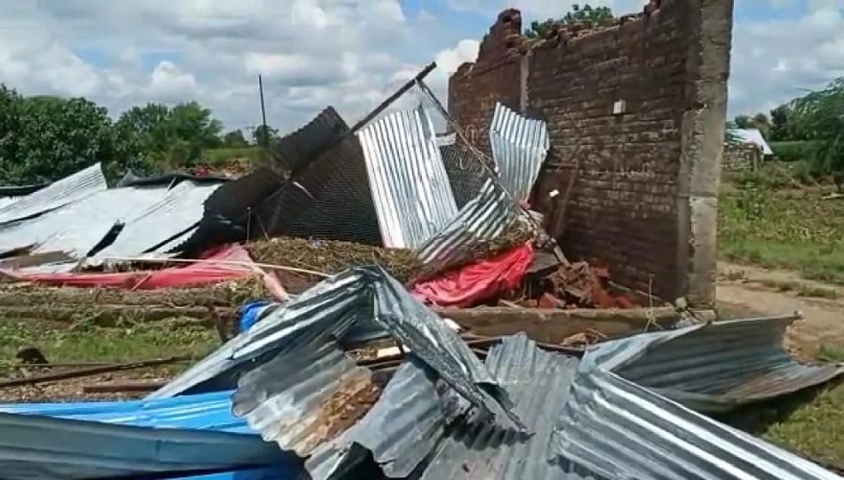 पुरात दहा हजार कोंबड्या गेल्या वाहून; २० लाखाचे नुकसान