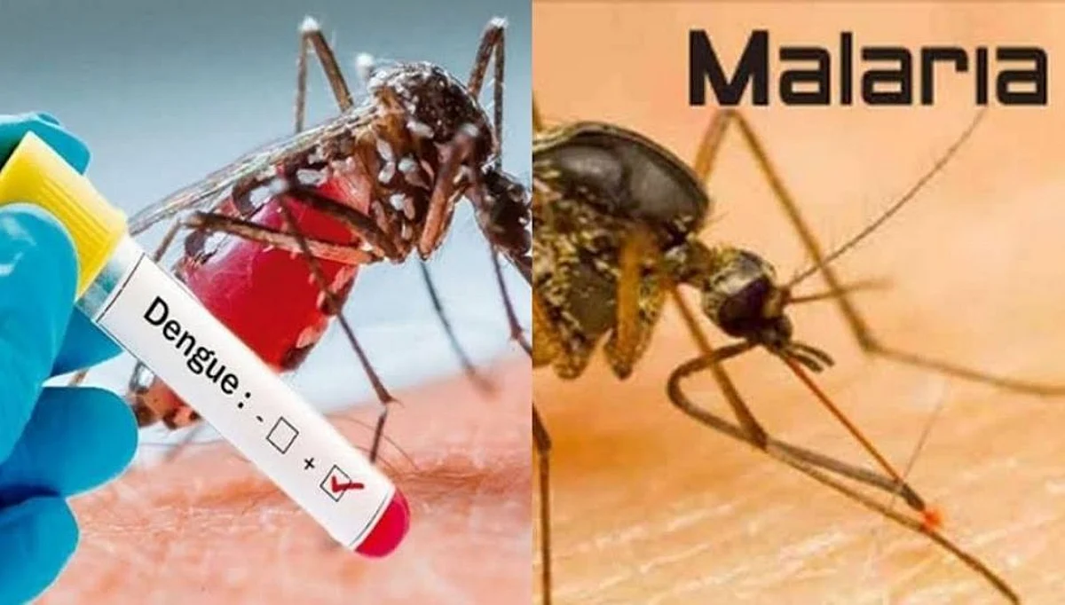 सावधान! गोंदिया जिल्ह्यात डेंग्यू,मलेरीया पसरतोय, काळजी घ्या...