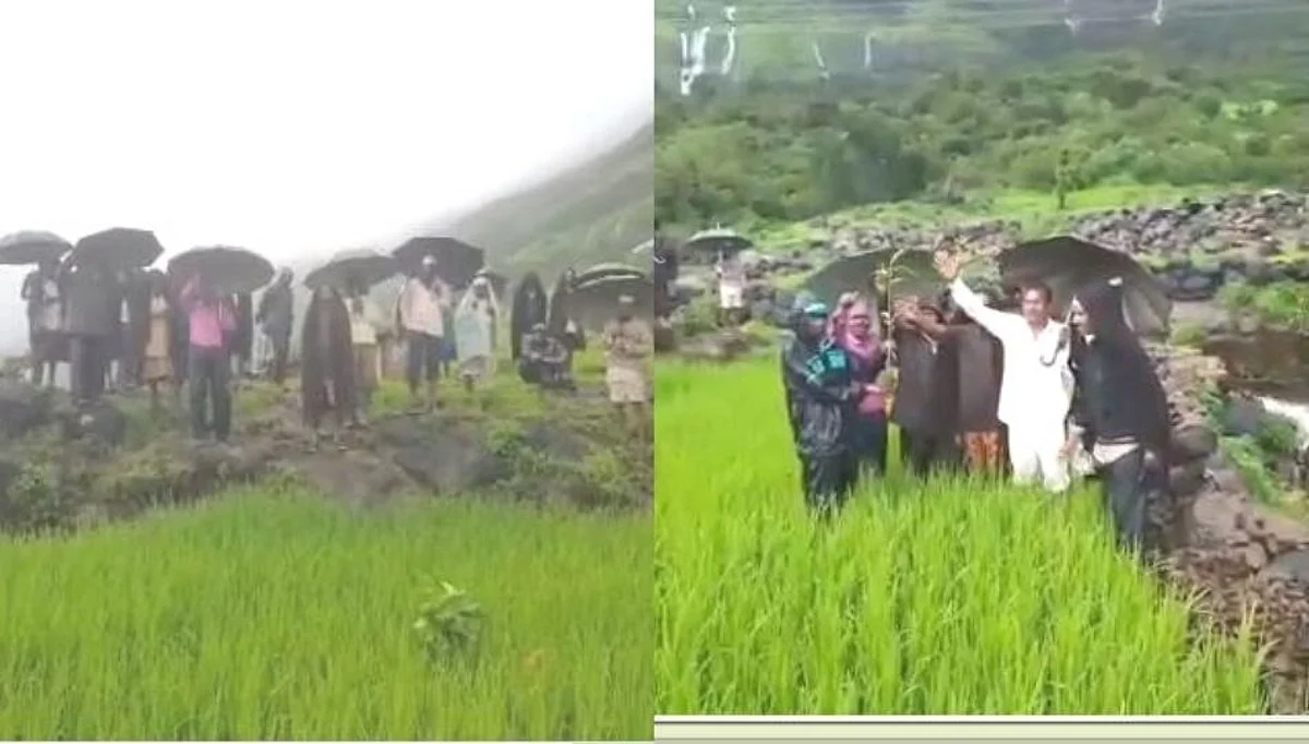 वन विभागाने शेतात लावलेली झाडे उपटून, किसान सभेच्या मोर्चेकरांनी निषेध व्यक्त केला!
