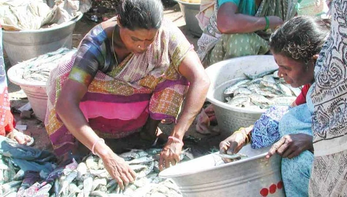 Online मासे विकणाऱ्या कंपनीच्या जाहिरातीमुळे मच्छीमारांची बदनामी