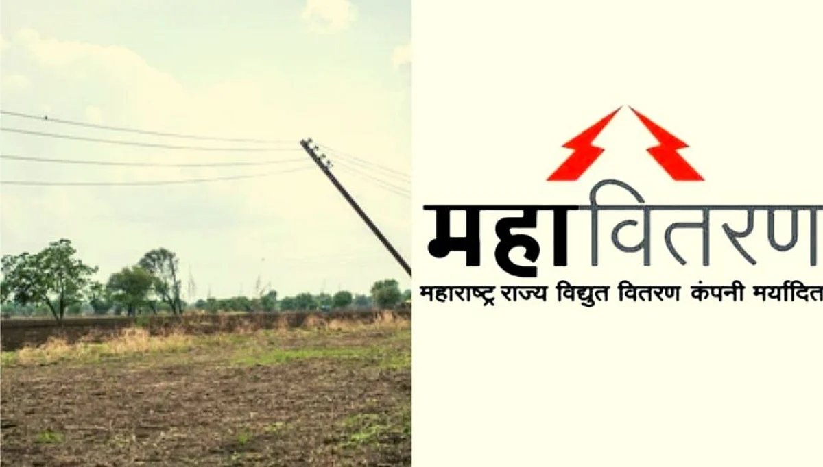 गोंदिया जिल्ह्यात महावितरणची विद्युत तार अंगावरती पडल्याने 5 जनावरांचा जागीच मृत्यू!