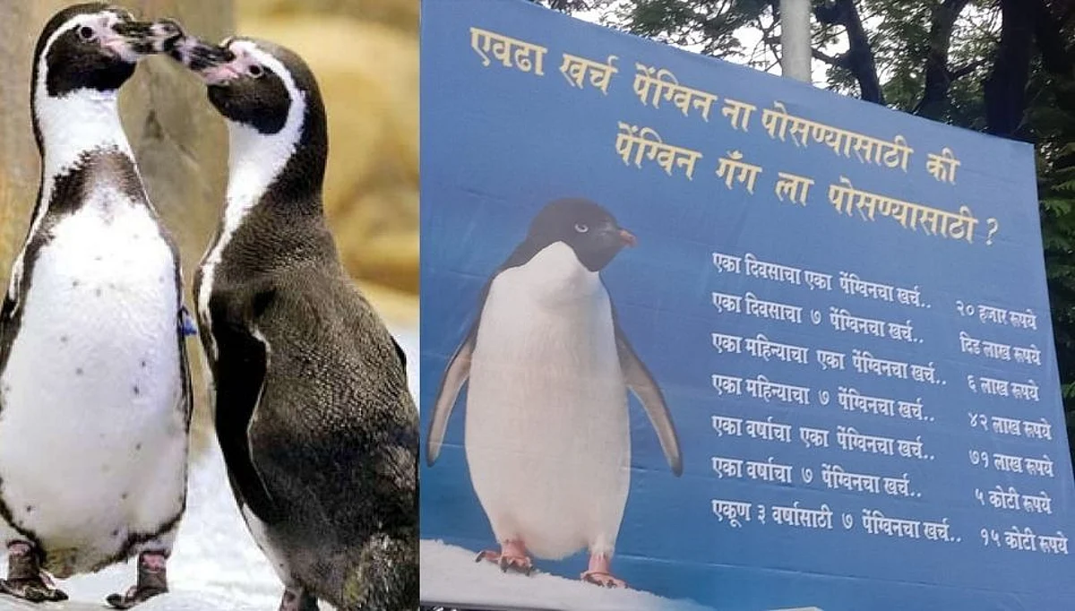 एवढा खर्च पेंग्विन्ससाठी की, पेंग्विन गॅंगला पोसण्यासाठी? - मनसेची पोस्टरबाजी