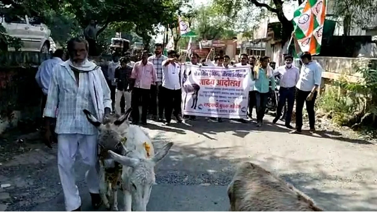 पंतप्रधान आवास योजनेच्या गलथान कारभाराविरोधात राष्ट्रवादी युवक काँग्रेस चे गाढव आंदोलन!