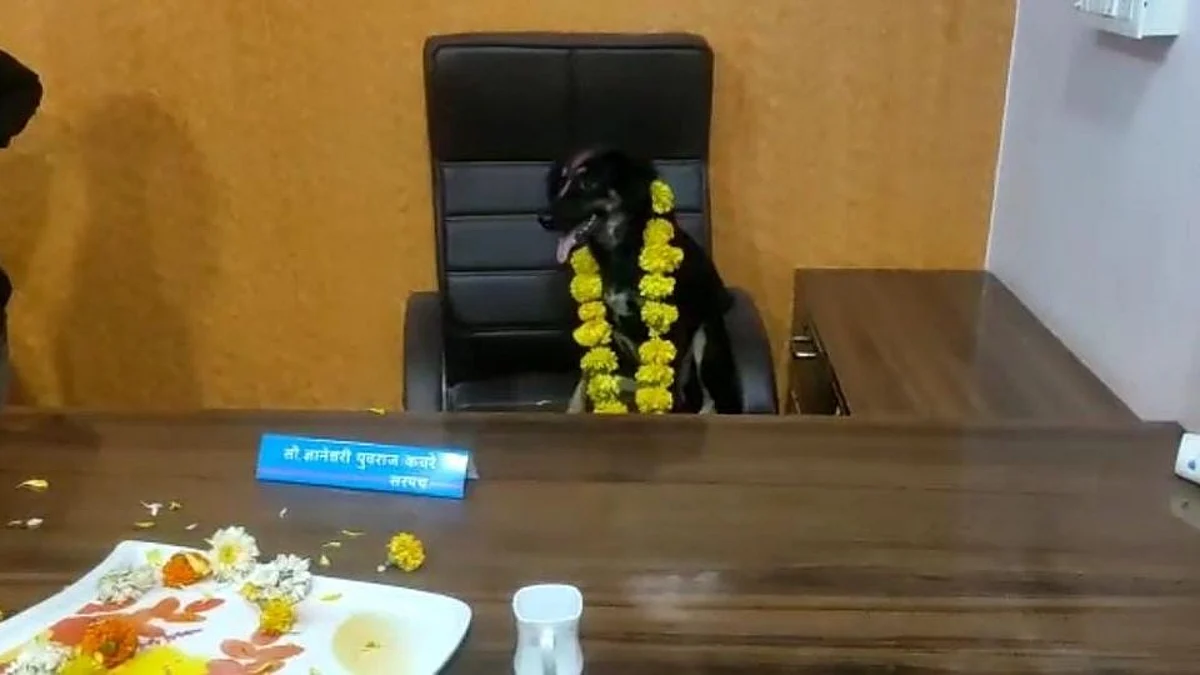 Beed: गैरहजर सरपंचाच्या खुर्चीवर चक्क कुत्रा बसवून ग्रामस्थांनी केला निषेध!