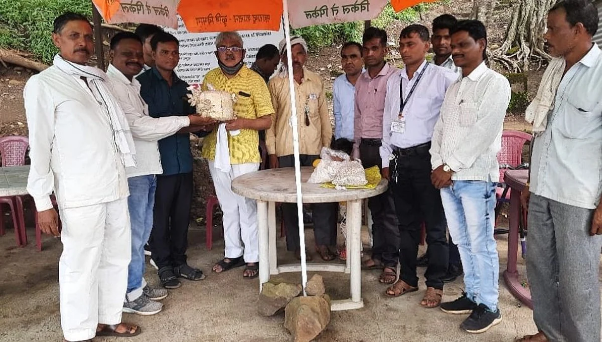 मशरूम पावडर कुपोषित बालकांसाठी फायदेशीर