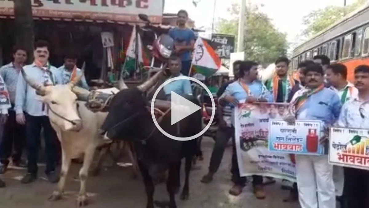 इंधन, गॅस दरवाढी विरोधात राष्ट्रवादी काँग्रेस आक्रमक... (पहा व्हिडिओ)