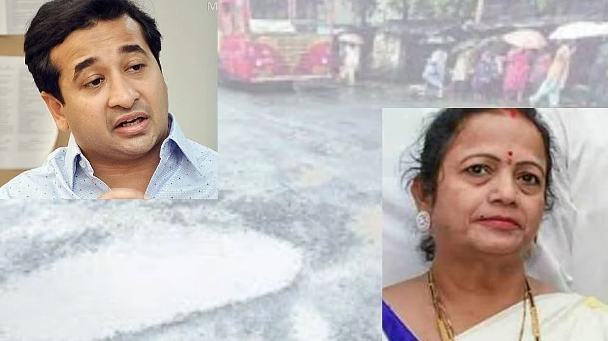 एखादा पेंग्विन कमी पाळा पण रस्त्यांवरील खड्डे भरा - नितेश राणेंच महापौरांना पत्र