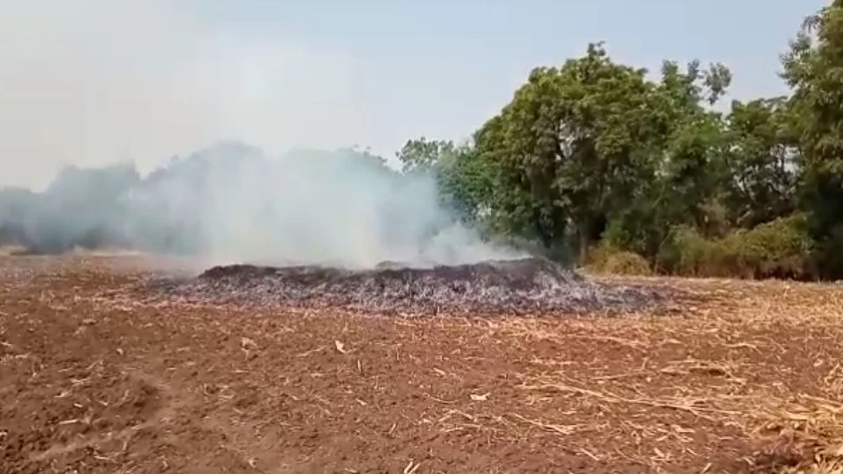 पिंपळगाव काळे येथील शेतातील मक्याच्या गंजीला आग...
