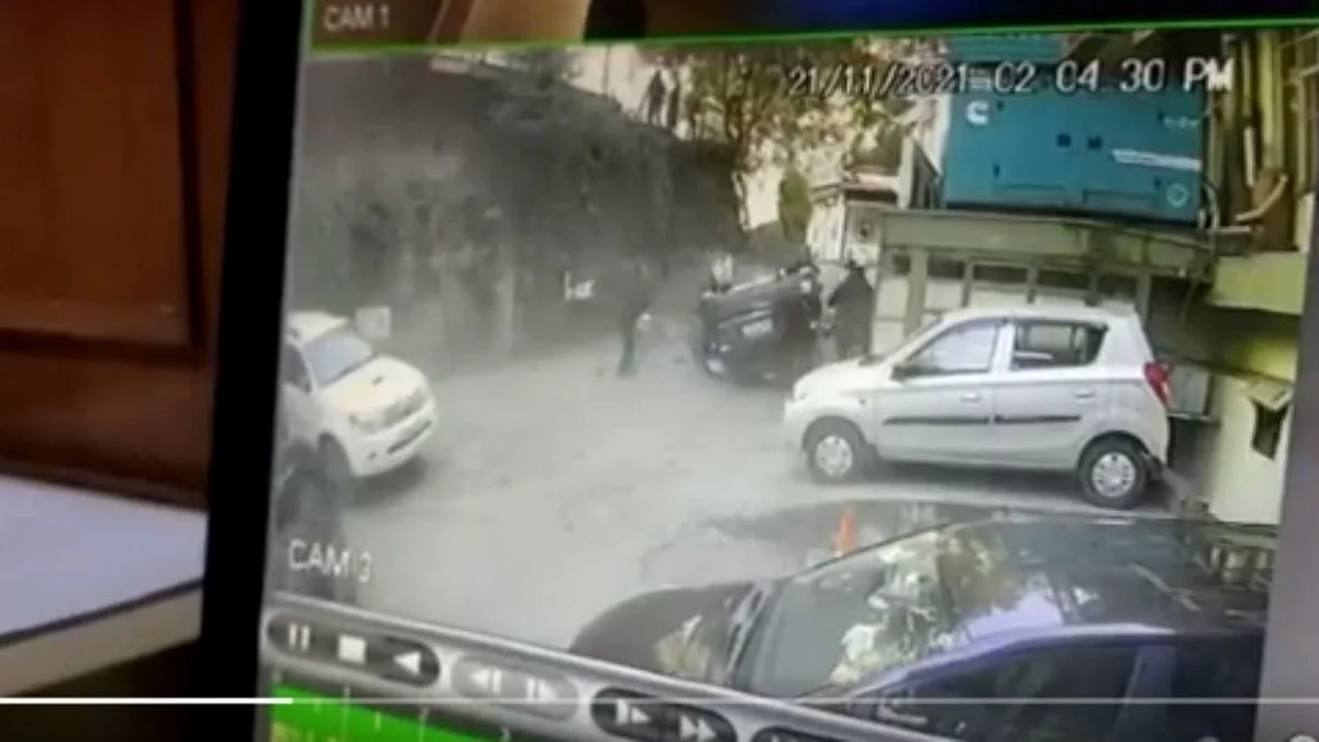माकडाला वाचवण्याच्या प्रयत्नात कारचा भीषण अपघात! (पहा Video)