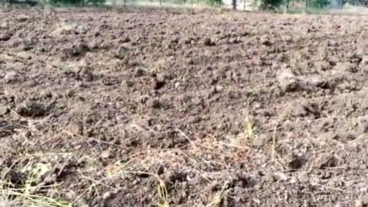 खरीप हातातून गेल्यानंतर मराठवाड्यातील शेतकऱ्यांची भिस्त रब्बी पिकांवर