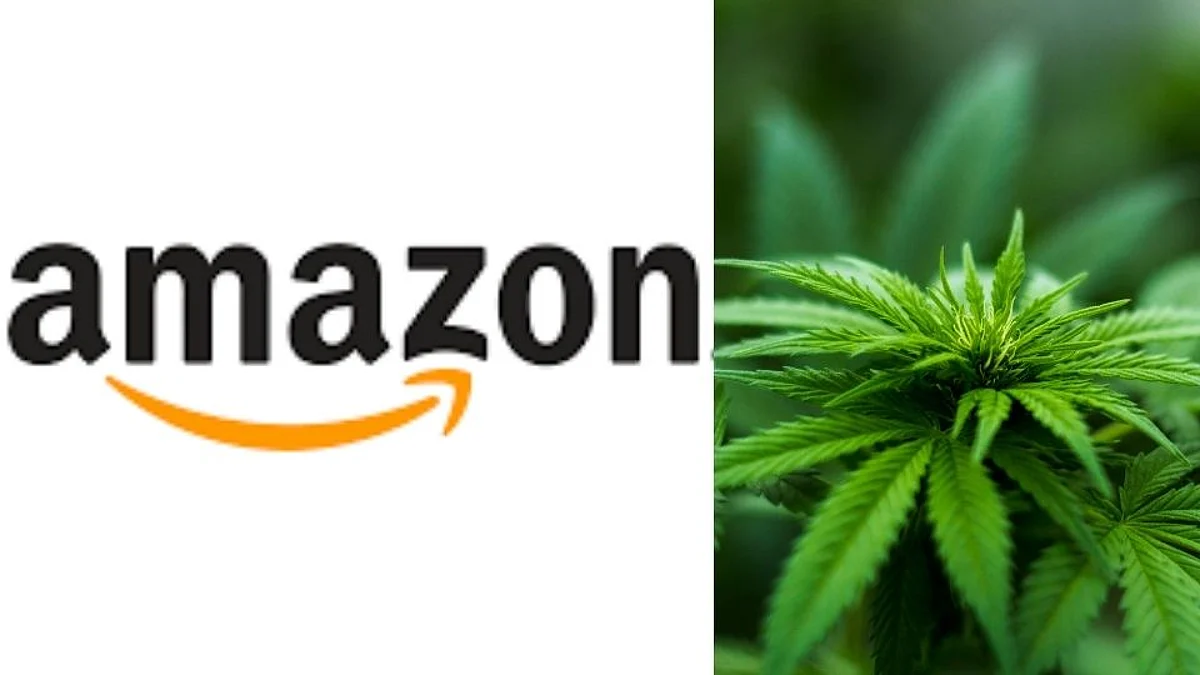 कढीपत्त्याच्या नावाखाली Amazon वरून 1 टन ड्रग्सची तस्करी; रॅकेटचा पर्दाफाश!