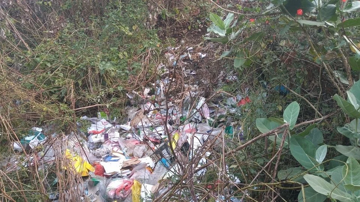 यवतमाळकरांचा मॉर्निंग वाॅक ठरतोय जीवघेणा