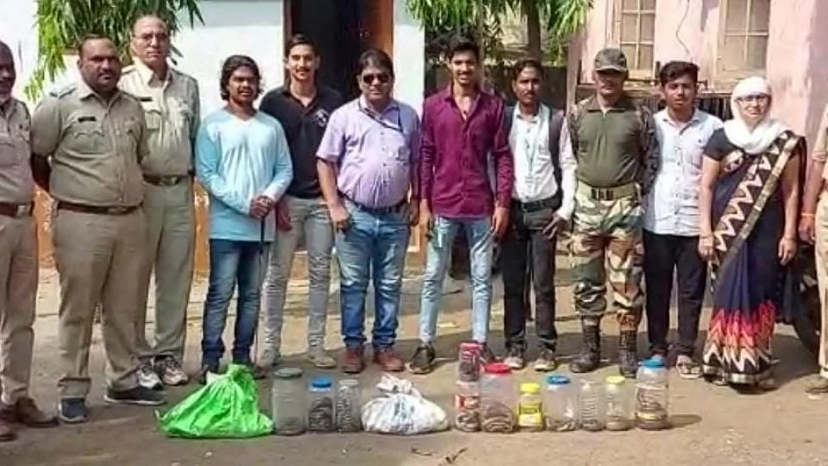 तब्बल १७ सापांना दिले जीवदान