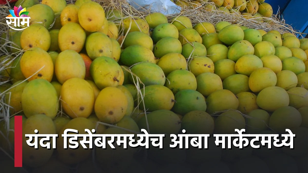 Video: यंदा डिसेंबरमध्येच आंबा मार्केटमध्ये
