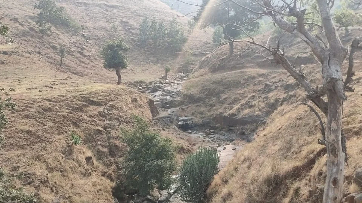 ‘साम’चा ग्राउंड रिपोर्ट..अतिदुर्गम भाग तहानलेलाच; झऱ्यातूनच भागवावी लागते तहान