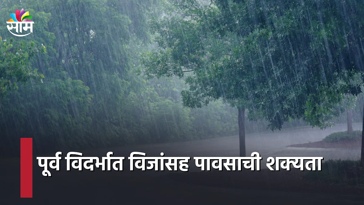 Rain Alert : पूर्व विदर्भात विजांसह पावसाची शक्यता : पाहा व्हिडिओ