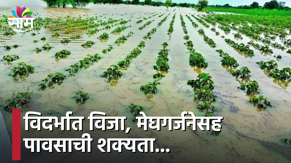 Vidarbha : Weather Update विदर्भात विजा, मेघगर्जनेसह पावसाची शक्यता