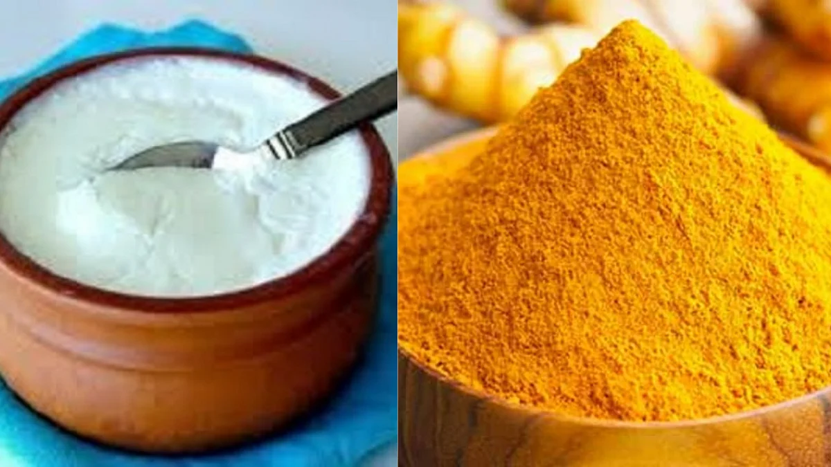 Skin Care Tips: चेहऱ्यावर डाग आहेत, ग्लो येत नाहीये, हळद आणि दह्याचे हे उपाय करुन पाहा