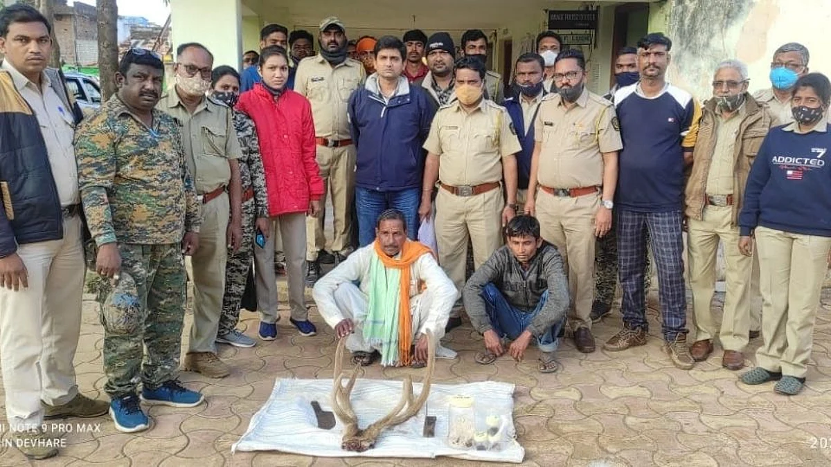 Chital hunting Case: वनविभागाने दोन आरोपींना केली अटक