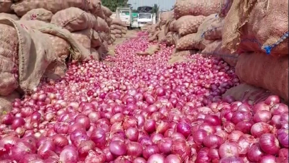 Onion: ११०० गाड्या कांद्याची आवक; एक दिवस बाजार समिती राहणार बंद