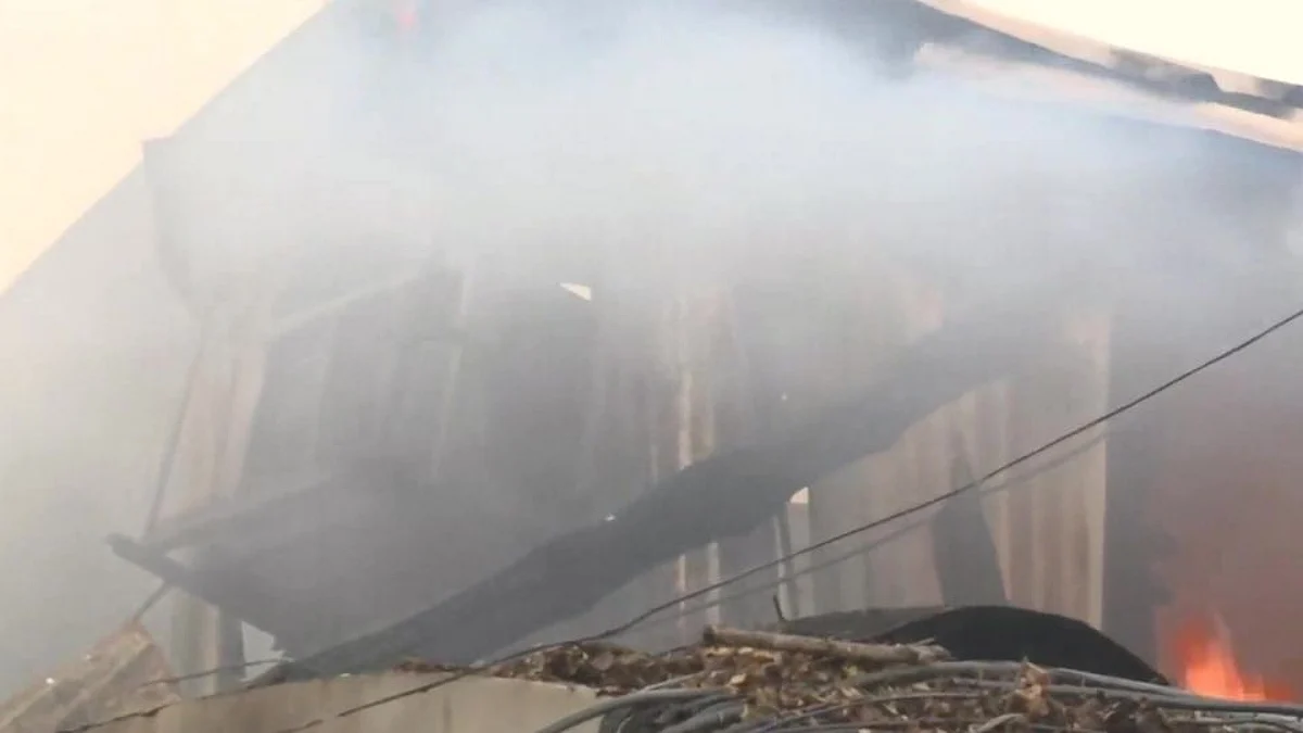 Byculla Fire: भायखळा परिसरात लाकडी गोदामाला भीषण आग