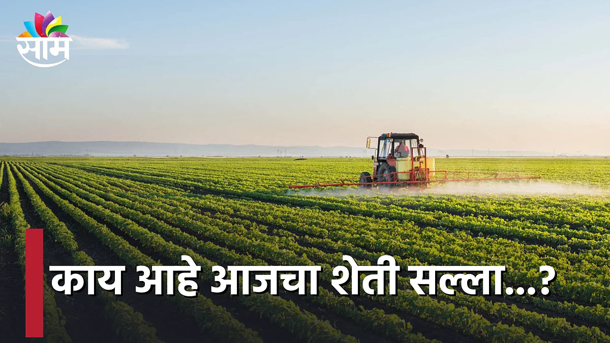 Agriculture : काय आहे आजचा शेती सल्ला