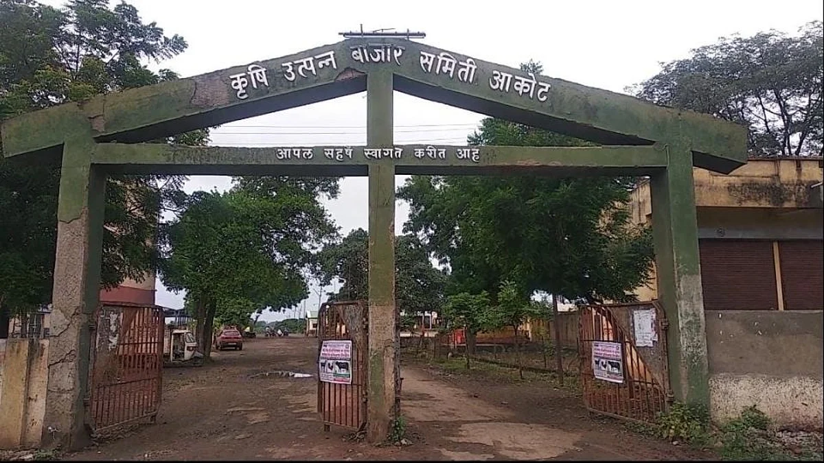 Akola: ५० वर्षांत पहिल्यांदाच कापसाला विक्रमी दर; शेतकरी आनंदात