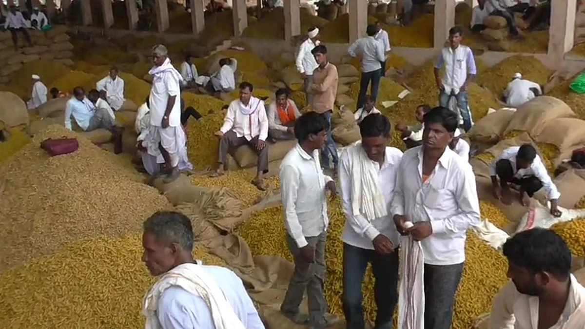 Turmeric Market High Rate