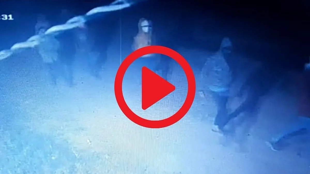 Video : नागपूरमध्ये सशस्त्र दरोडा; गोळीबार करत दरोडेखोरांनी माजवली दहशत!