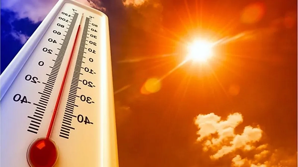 Heat Wave: दिल्ली-राजस्थानसह या 4 राज्यांमध्ये उष्णतेच्या लाटेचा इशारा