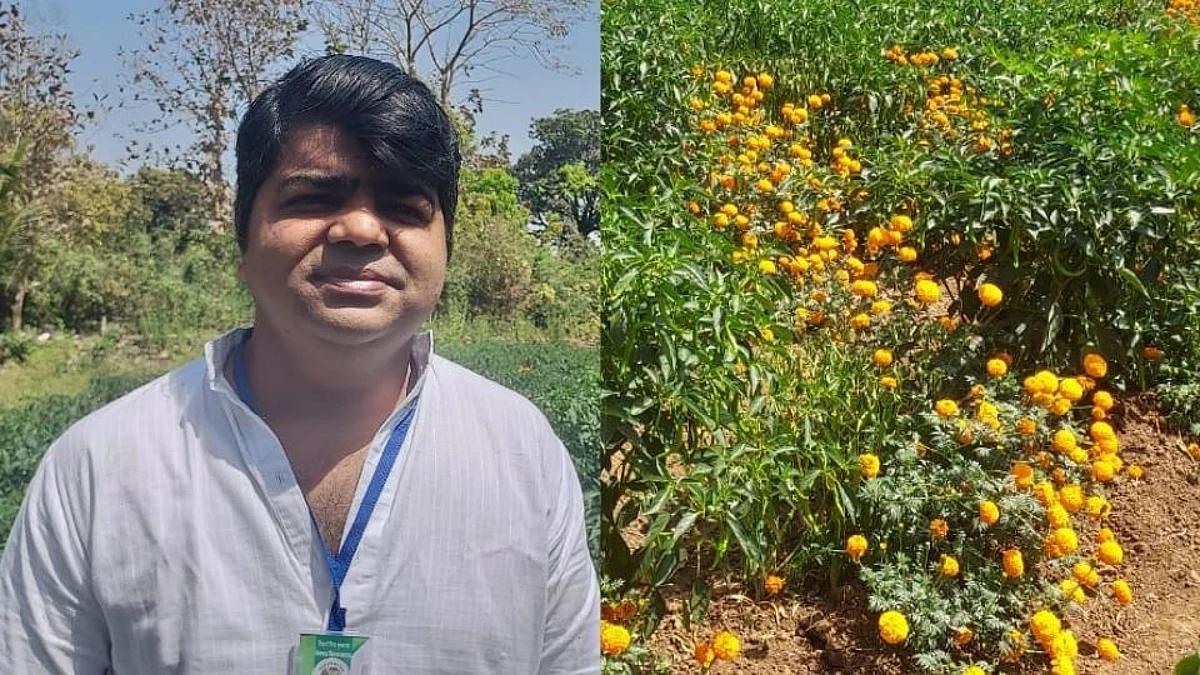 Raigad: सेंद्रिय शेतीतून पिकवली हायब्रीड मिरची; स्मार्ट शेतकऱ्याचा प्रेरणादायक प्रवास...