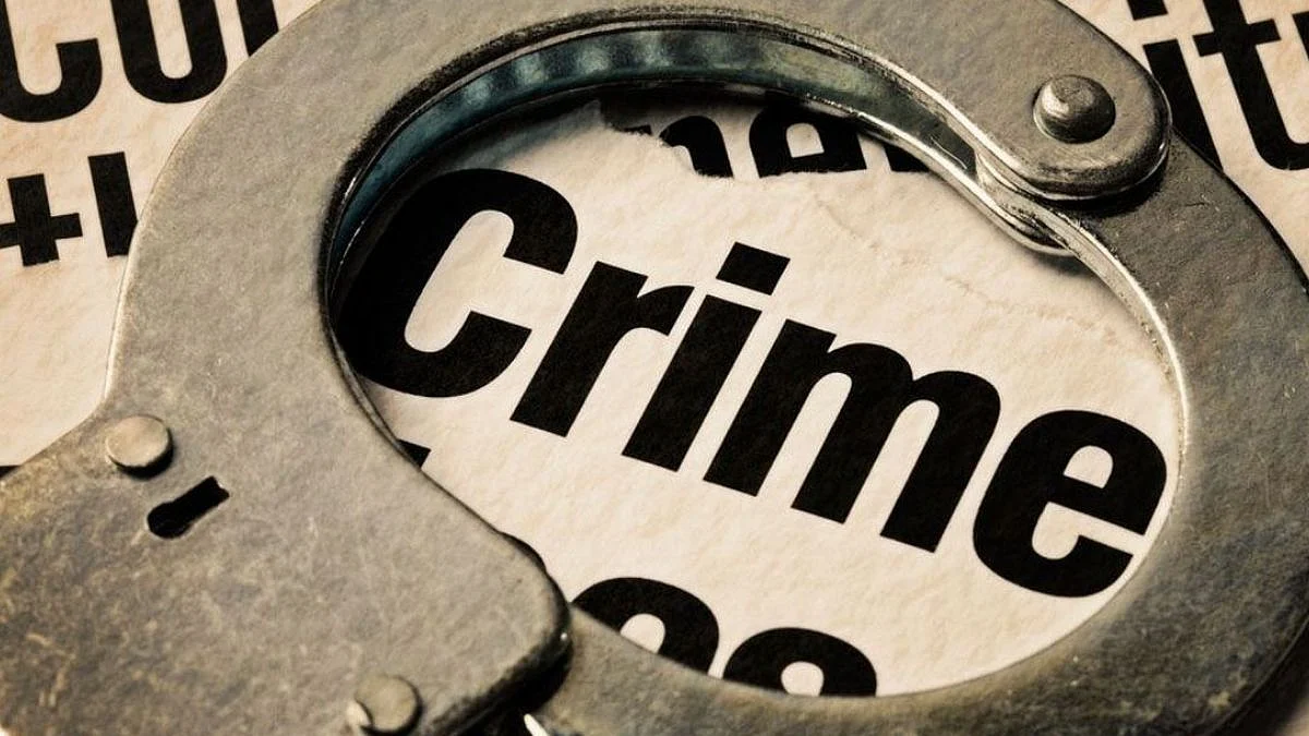 शौक पूर्ण करण्यासाठी चोरी केले आईचेच दागिने