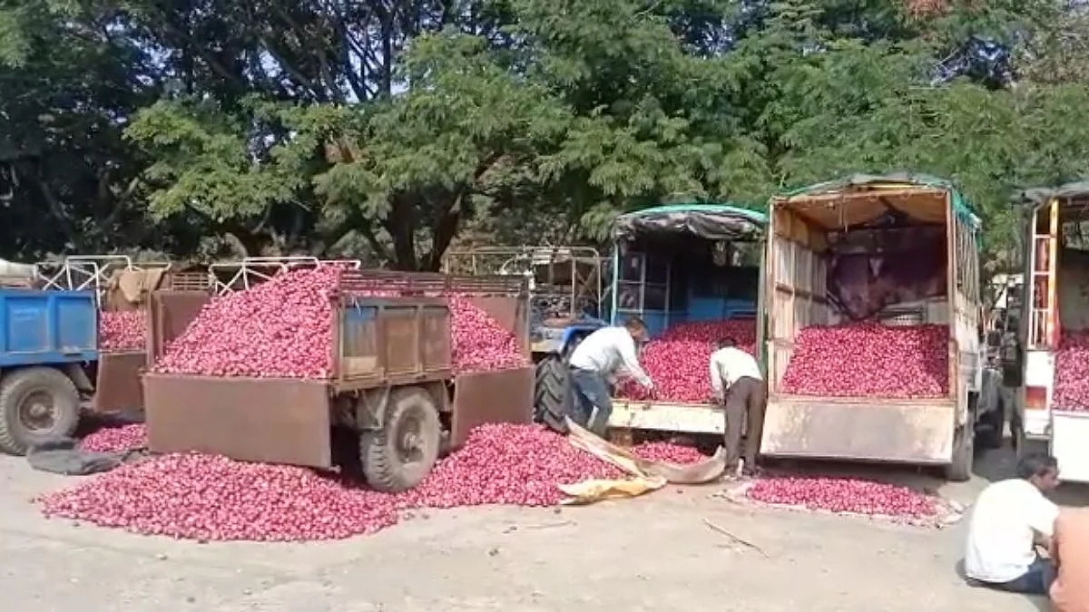 कांद्याने केला वांदा! भाव कमी झाल्यानं कांदा उत्पादक शेतकरी अडचणीत