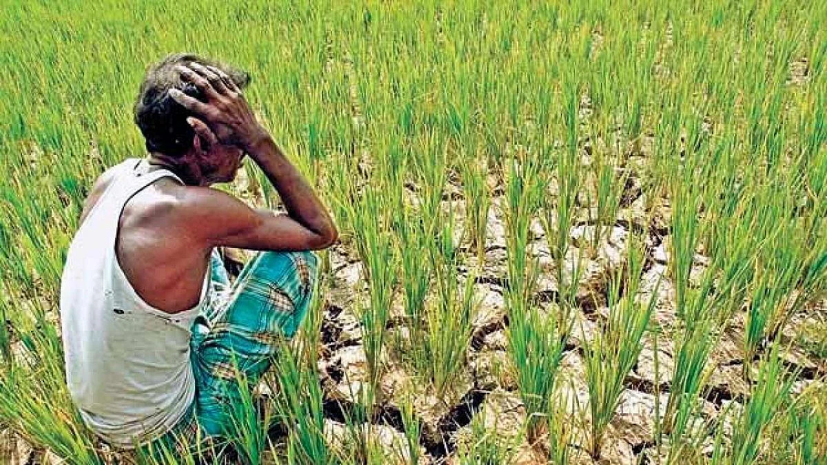 Pandharpur: 'महसूल' ने पेहे गावातील २२ शेतक-यांना ३९ काेटींचा ठाेठावला दंड