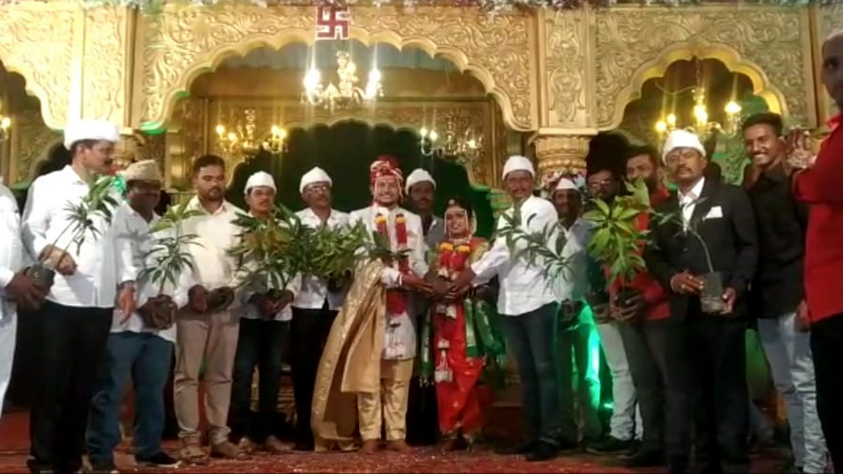 हे तर भारीच! विवाह सोहळ्यात पाचशे झाडांचे वाटप; वधू-वराला आंब्याच्या रोपट्यांचा आहेर