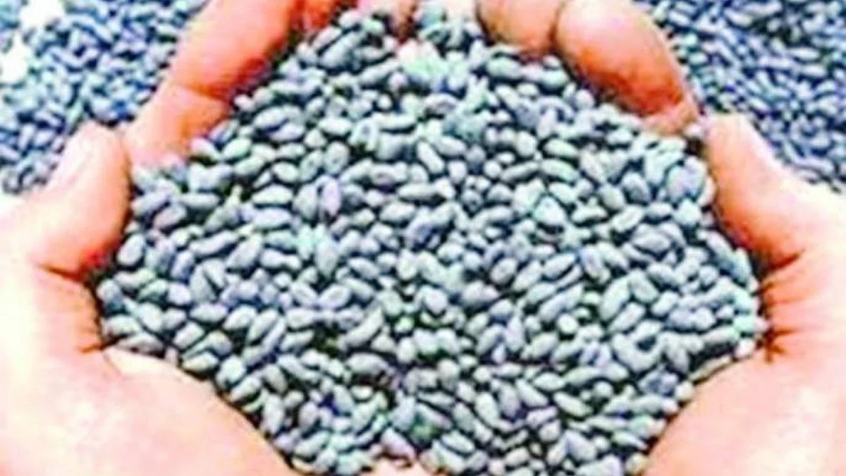 तयारी खरिपाची; २७ लाख कपाशी बियाणांची पाकिटे उपलब्ध
