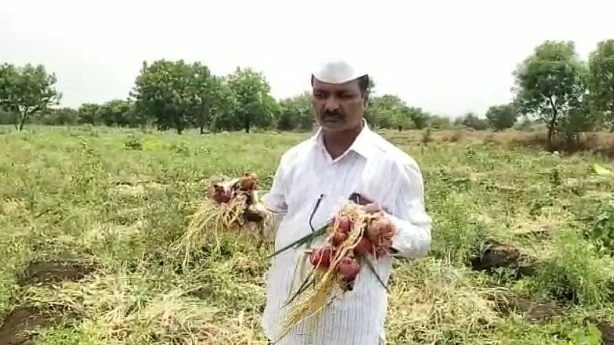 कांद्याने केला वांदा! मान्सूनपूर्व पावसाने कांदा उत्पादक शेतकरी अडचणीत