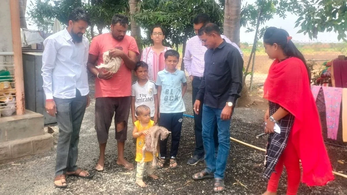 मांजर समजून चिमुकल्यांनी घरी आणलं बिबट्याचं बछडं; ८ दिवस घरच्यांनीही केला सांभाळ, त्यानंतर...